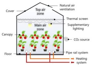 A cross-section diagram illustrating the components of a high-tech greenhouse. The structure shows a "Top air zone" near the roof, which features a "Cover" and "Natural air ventilation." A "Thermal screen" separates the top zone from the "Main air zone" below. Inside the main zone, "Supplementary lighting" hangs above rows of tomato plants labeled as the "Canopy." A "CO2 source" fan is attached to the side wall. At the bottom, the "Floor" contains a "Pipe rail system" connected to a "Heating system," depicted by red and orange directional lines.